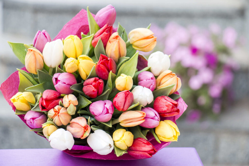 a bunch of colourful tulips